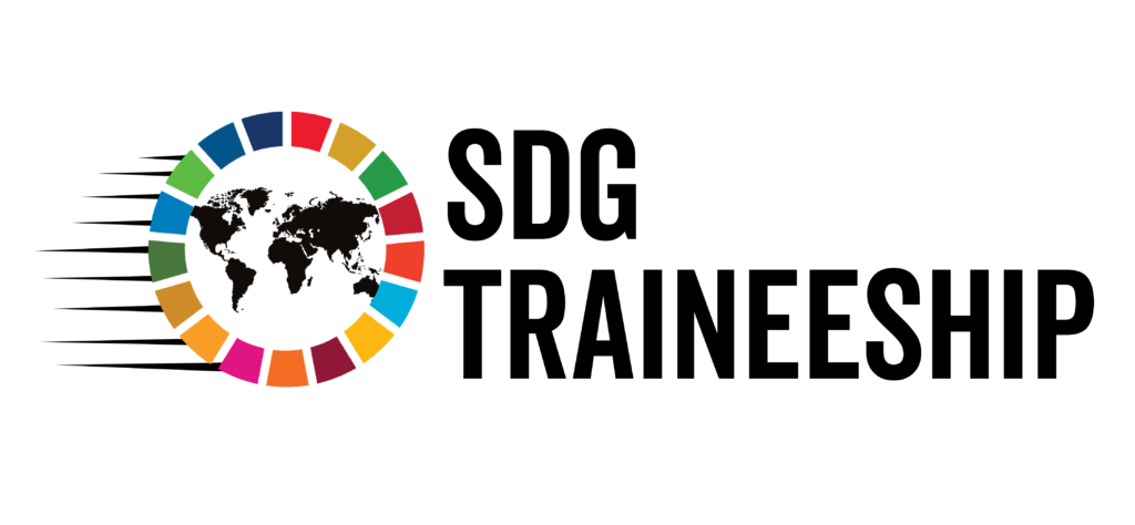 The new SDG Traineeship logo