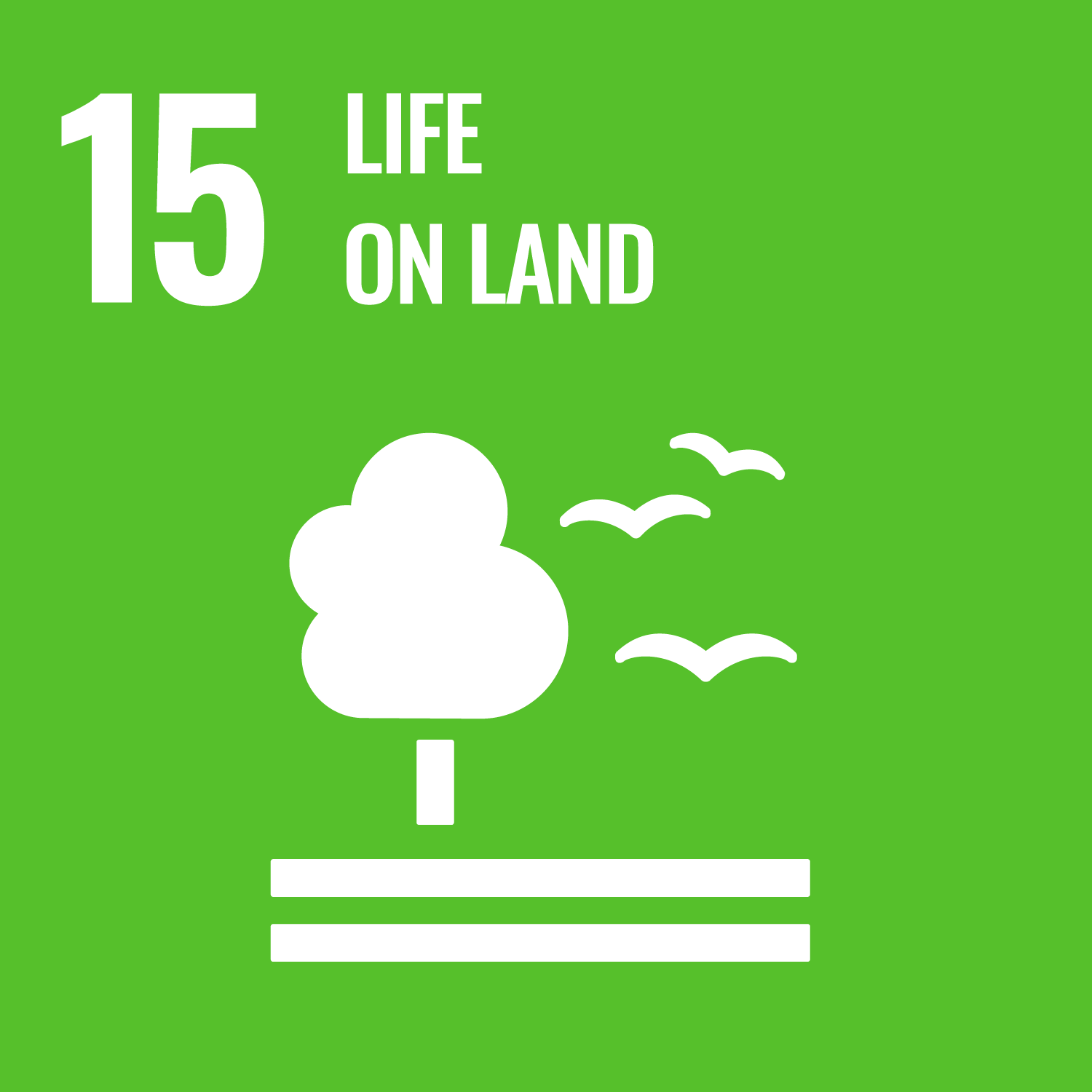 sdg 15 life on land essay